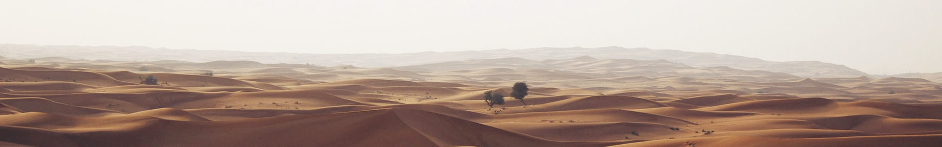 ҵɿƼ޹˾